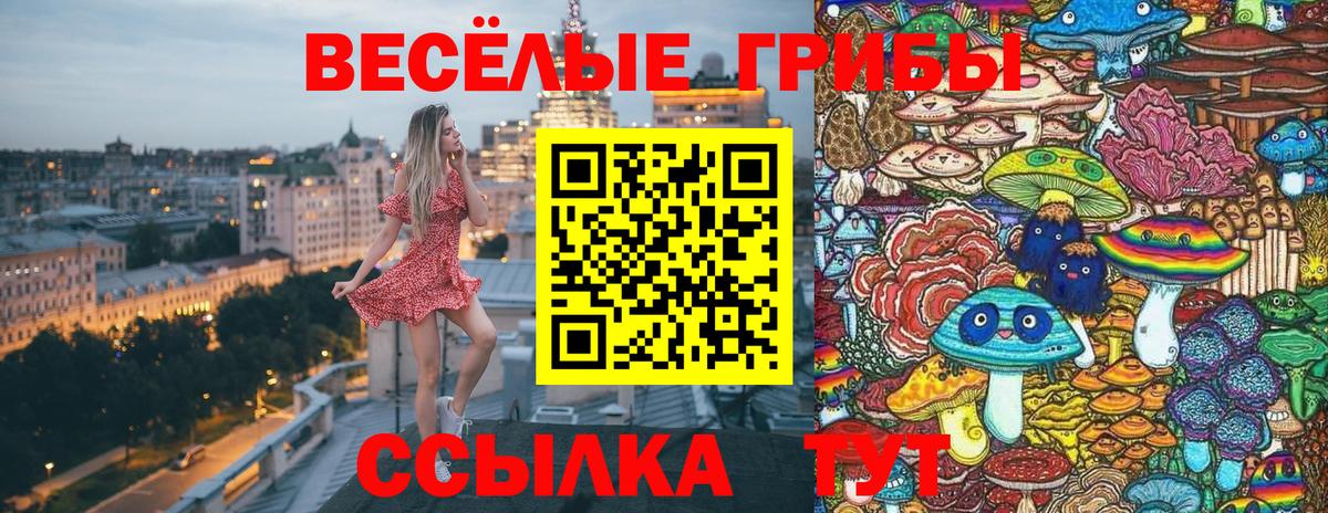 Псилоцибиновые грибы мухоморы  Вход с VPN  Тара 