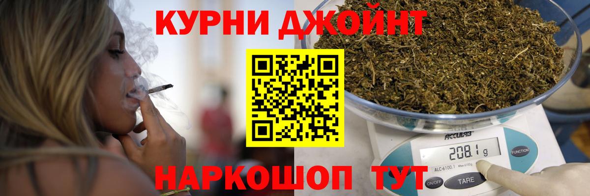 Канабис индика Тара
